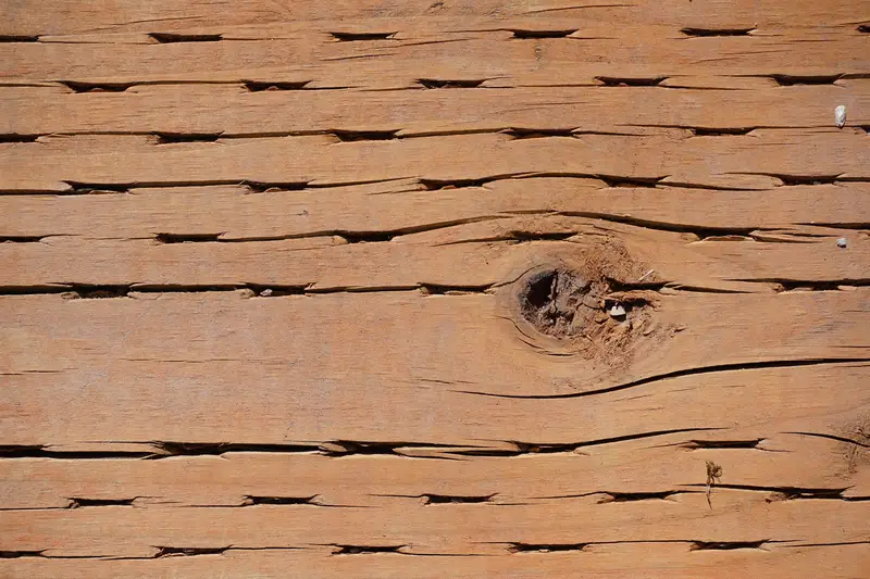 Close up photo of pressure treated lumber