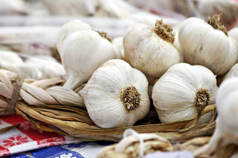 Photo of multiple blubs of garlic